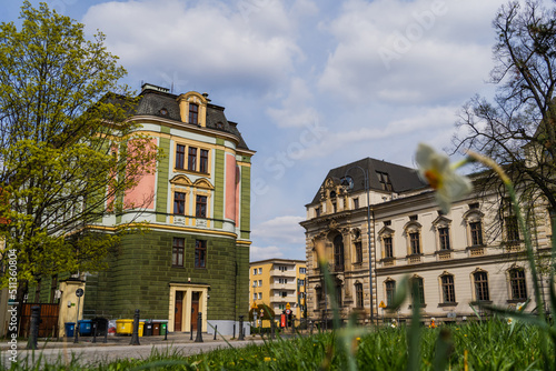 Urban street and blurred flower in Wroclaw