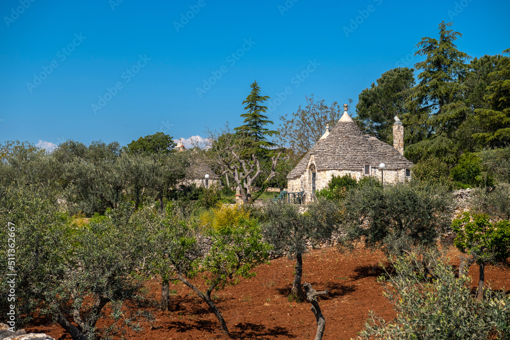 Tradycyjny, kamienny domek Truło stojący pośród młodych drzew oliwnych - obrazy, fototapety, plakaty 