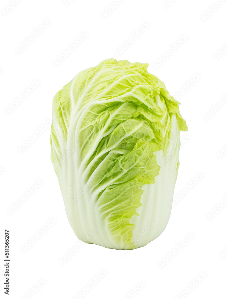 Fresh single whole of Napa cabbage (Brassica rapa), chinese cabbage arrange vertical isolated on white background. Clipping path, front view and studio shoot Fresh single whole of Napa cabbage (Brassica rapa), chinese cabbage arrange vertical isolated on white background. Clipping path, front view and studio shoot