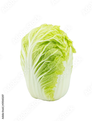 Fresh single whole of Napa cabbage (Brassica rapa), chinese cabbage arrange vertical isolated on white background. Clipping path, front view and studio shoot