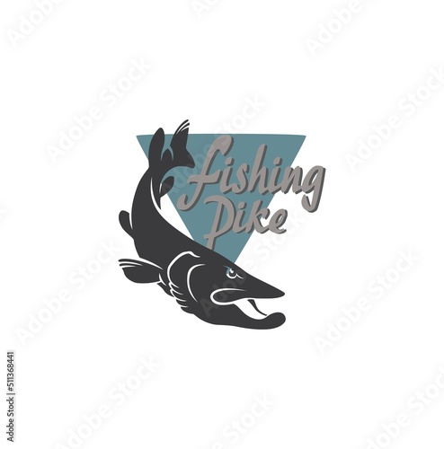 The figure shows a pike fish