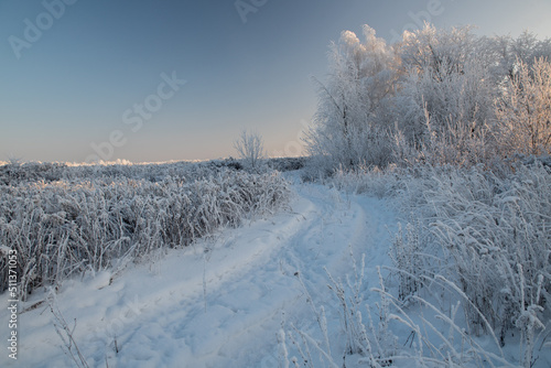 Winter landscape with snowy trees © grthirteen