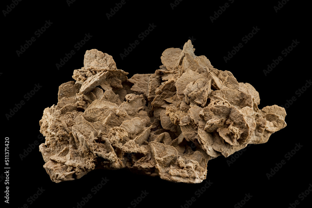 Isolated pink red sand rose against black background (size is 43 cm large , 14.5cm height and 29cm width) Isolated pink red sand rose against black background (size is 43 cm large , 14.5cm height and 29cm width)