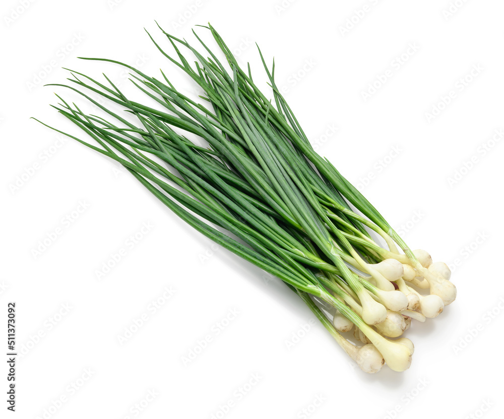 a bunch of green onions in detail, the object is isolated on a white background, the concept of fresh vegetables and healthy food a bunch of green onions in detail, the object is isolated on a white background, the concept of fresh vegetables and healthy food