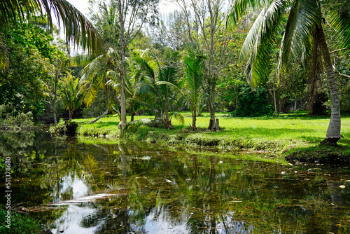 tropical landscape in the zapata nationalpark in southern cuba