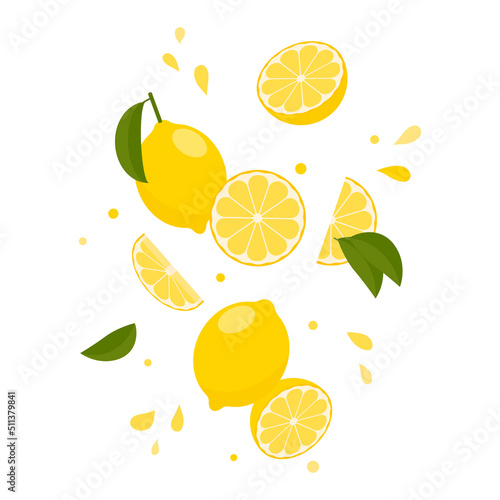 falling or flying lemons. vector illustration.