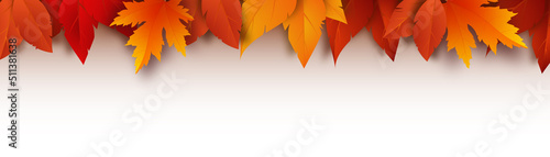 Realistic yellow  red  orange leaves. Autumn foliage on a white background. Vector illustration