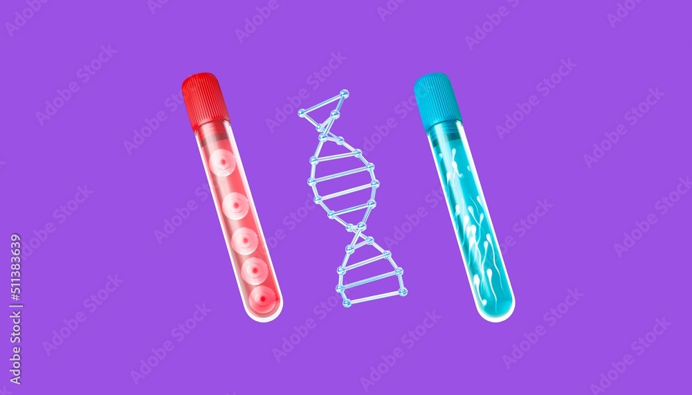 3d illustration of a test tube with eggs,a test tube with spermatozoa, a dna spiral, spermatozoa and an egg.Medical banner with isolated items.Advertising genetic testing and in vitro fertilization.