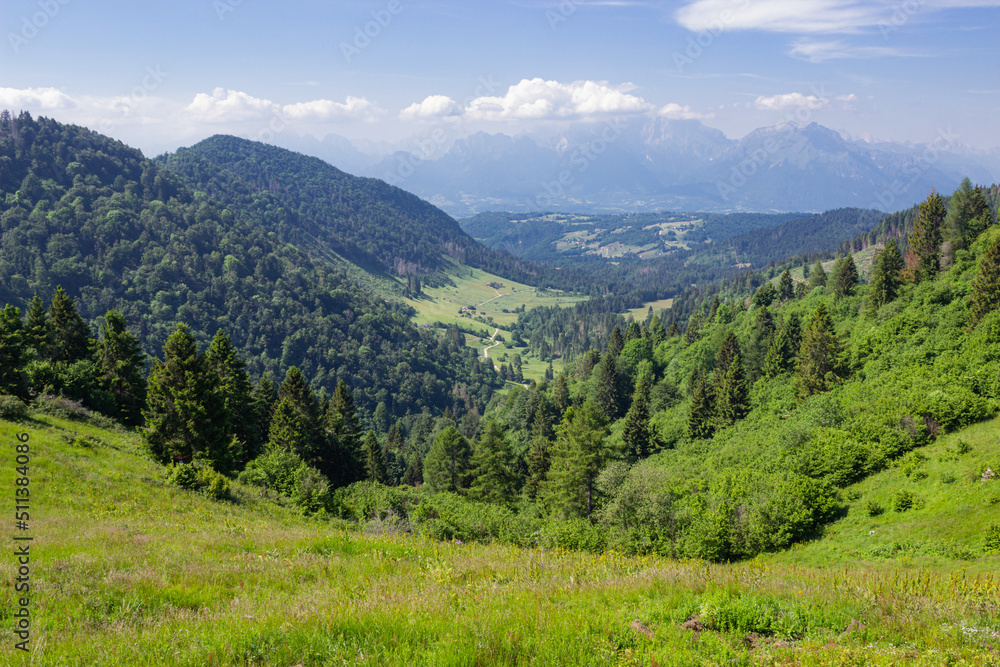 Mountain summer landscape. View on the Belluno pre-alps, Italy.