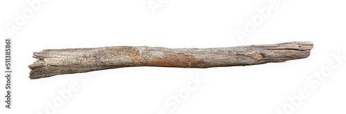 Dry tree twig branch isolated photo