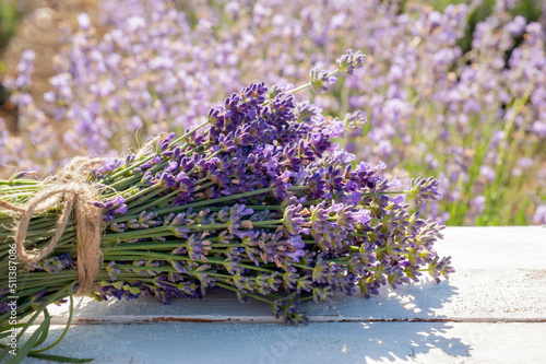 bouquet of lavender on a white wooden background, time of cutting and harvesting