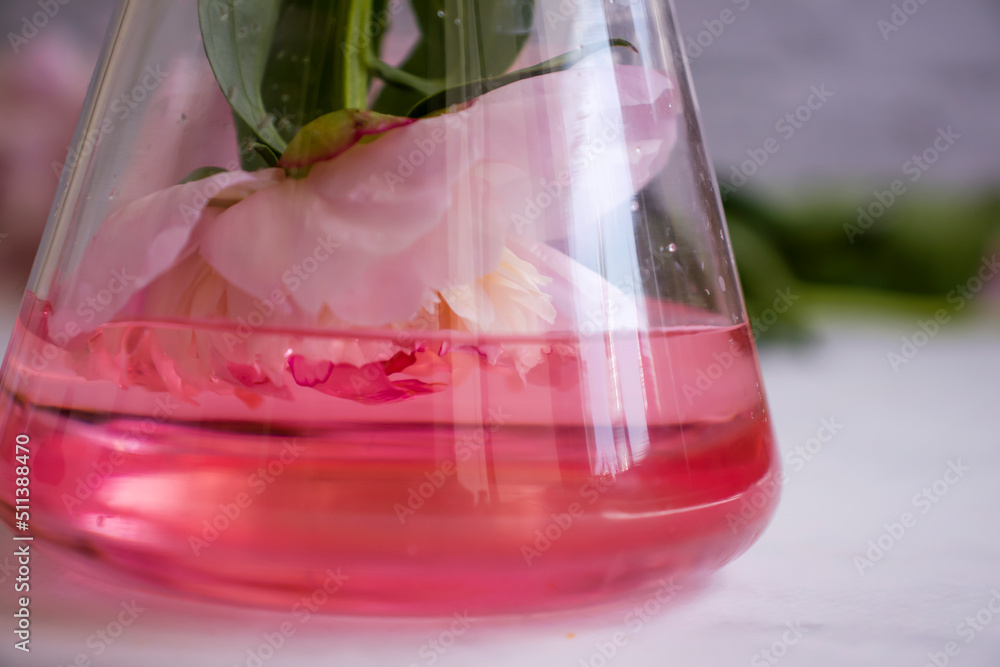 Laboratory flask flower on a light background Laboratory flask flower on a light background