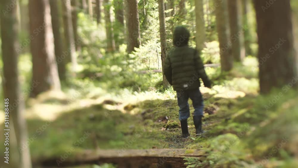 The child got lost in the woods alone. The boy in the woods alone. Survival alone in the forest. A tourist child got lost in the thicket. An upset child is waiting to be found. Selective focus The child got lost in the woods alone. The boy in the woods alone. Survival alone in the forest. A tourist child got lost in the thicket. An upset child is waiting to be found. Selective focus