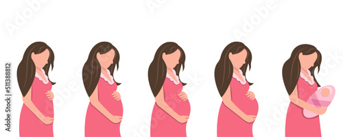 Main stages of pregnancy. Fetal growth by months. Pregnancy Calendar. Happy pregnancy and waiting process. Pregnancy and motherhood. Vector illustration in a flat style. Health care during pregnancy