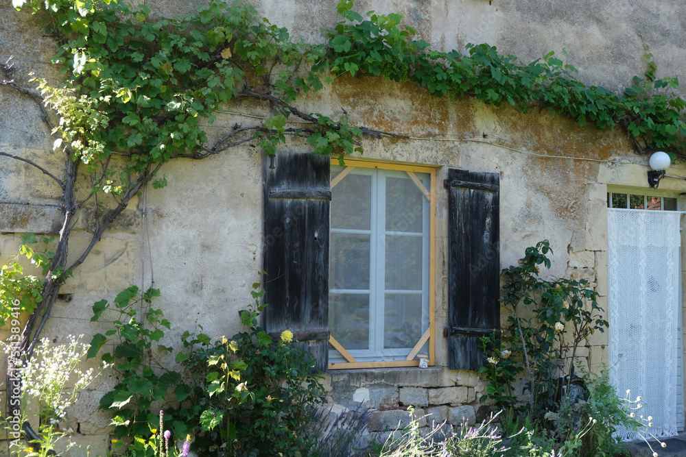 old house window in a French village, covered with wall plants 