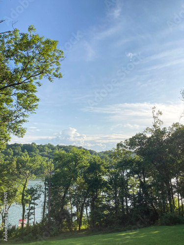 Landscape with trees