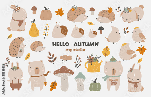 Autumn set, autumn clip art, collection of design elements with leaves, pumpkins, cute animals, mushrooms and others. Hand drawn childish vector illustration.