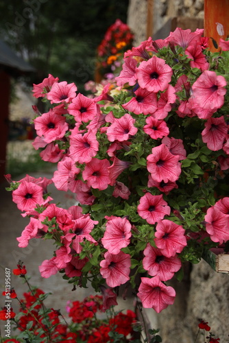 pink bell-shaped flowers