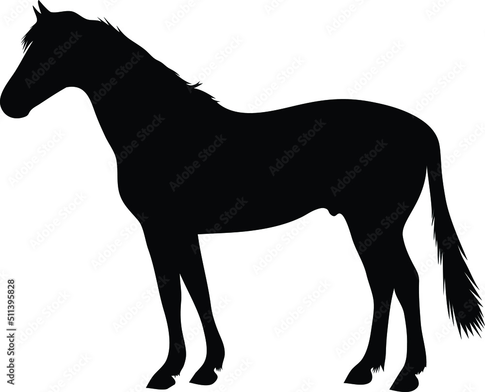 Obraz premium Horse black silhouette. Vector illustration.