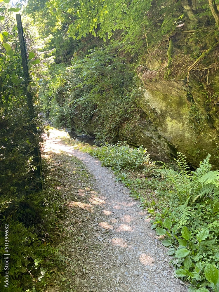 tal der wilden endert, greimersburg, endert, cochem, eifel, wanderweg, deutschlands, feldweg, landwirtschaftlicher verkehr, frühling, sommer, wald, natur, ins grüne, traktor, wald, wiese, weide, natur tal der wilden endert, greimersburg, endert, cochem, eifel, wanderweg, deutschlands, feldweg, landwirtschaftlicher verkehr, frühling, sommer, wald, natur, ins grüne, traktor, wald, wiese, weide, natur