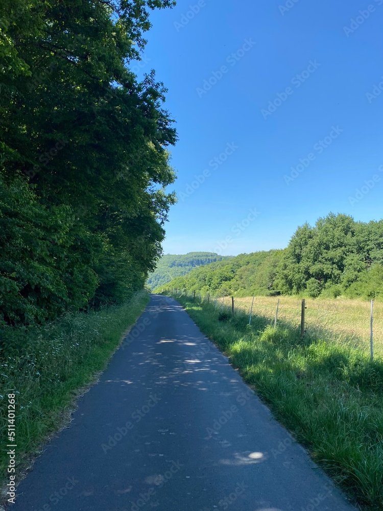 tal der wilden endert, greimersburg, endert, cochem, eifel, wanderweg, deutschlands, feldweg, landwirtschaftlicher verkehr, frühling, sommer, wald, natur, ins grüne, traktor, wald, wiese, weide, natur