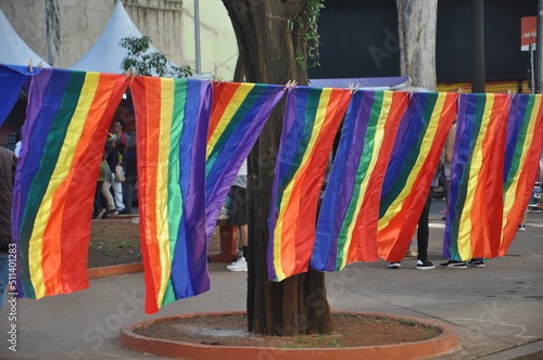 Raibow Diversity flag  photo