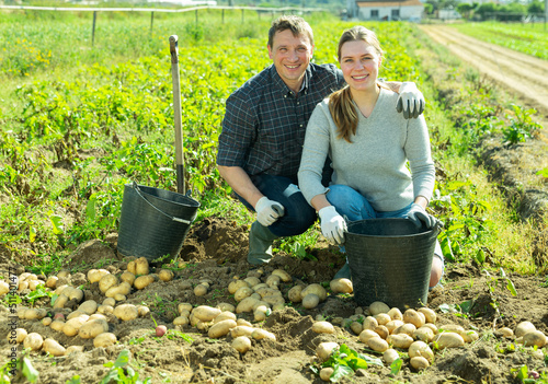 Portrait of successful farm family engaged in cultivation of organic potatoes during spring harvest photo