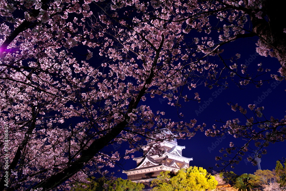 広島城夜桜