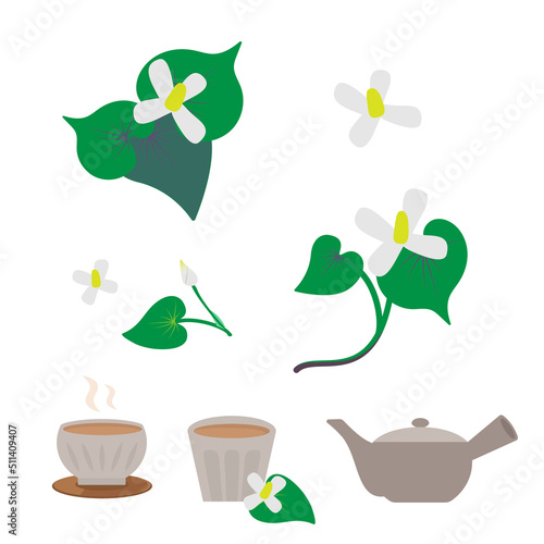 どくだみの花のイラスト　セット素材