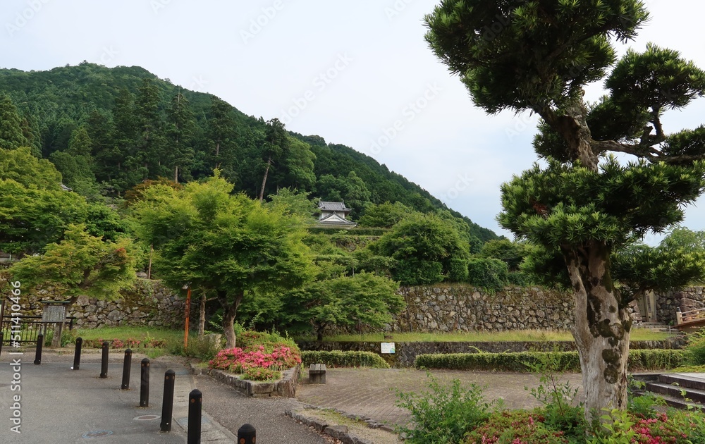 A distant view of Isushi-jyo Castle and Ariko-yama Mountain at Izushi-cho Town in Toyooka City in Hyogo Prefecture in Japan 日本の兵庫県豊岡市出石町にある出石城と有子山の遠景