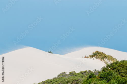 sand drifting on white dunes under blue sky