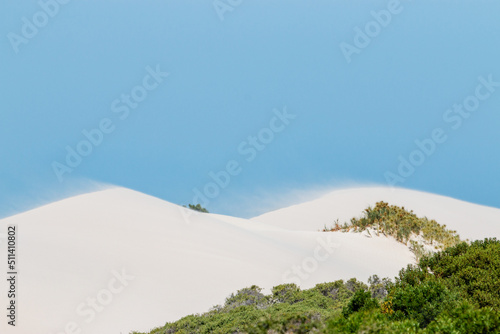 sand drifting on white dunes under blue sky photo