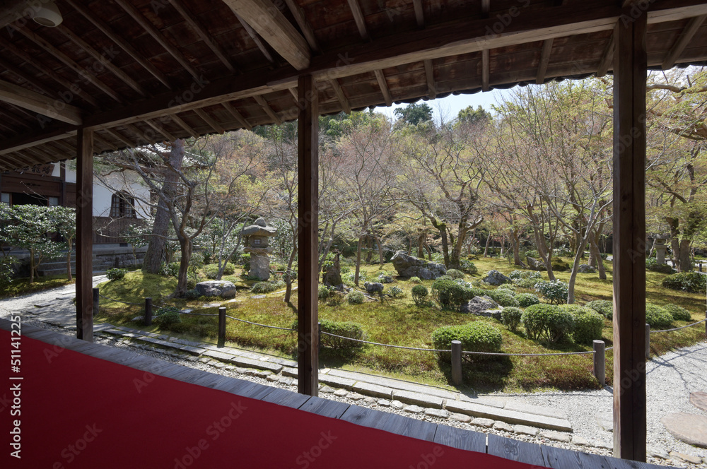 春の円光寺　書院から見る十牛之庭　京都市左京区一乗寺