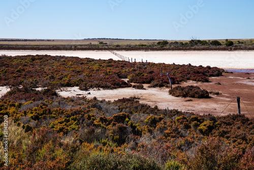 Salt crusted claypan on farming land, horizontal