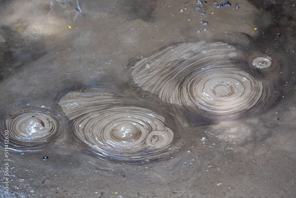 Bubbling geothermal mud pools in Rotorua New Zealand