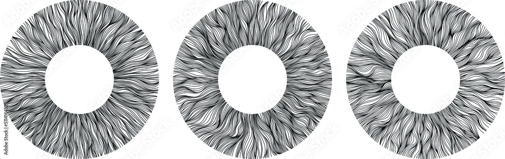 Obraz premium Abstract eye illustration. Iris decorative image. Circle vector line sketch