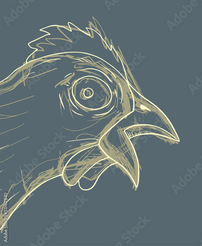 Sketch hen face draw