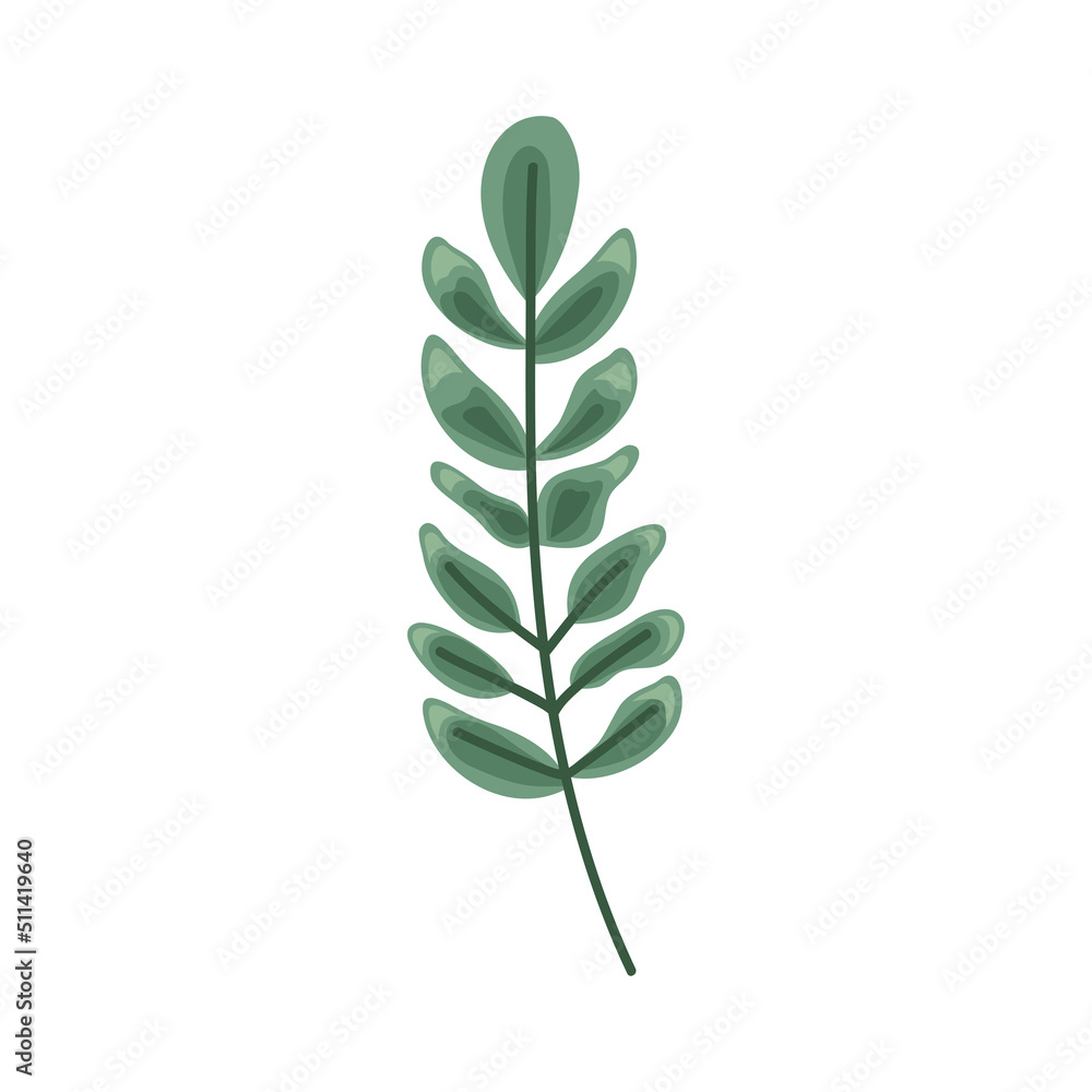 branch with green leafs branch with green leafs