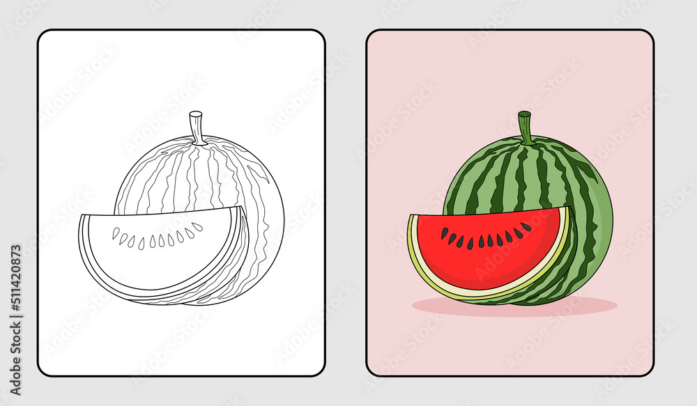 watermelon coloring book or educational pages for kids Stock Vector | Adobe  Stock