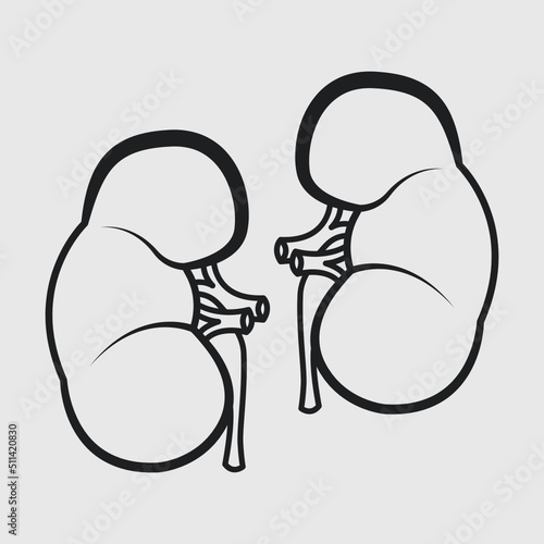 Kidney Outline SVG Bundle, Kidney Anatomy Svg, Doctors Svg, Urinary Svg, Kidney Organ, Kidney Silhouette,
