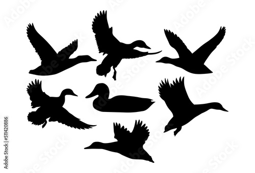 Duck flying, swimming. Template for plotter lazer cutting of paper, wood.