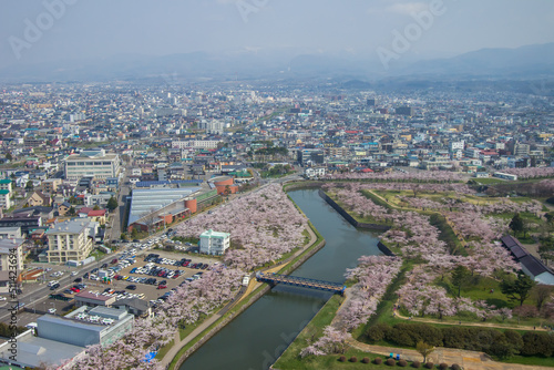 Hakodate Hokkaido Japan on April 29 2018 Cherry trees along the moats of Fort Goryokaku as seen from Goryokaku Tower