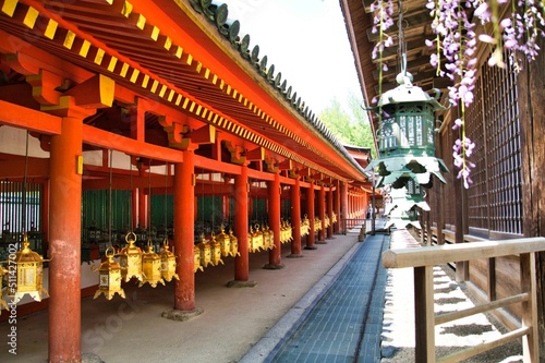 The corridor and lanterns of Kasuga Taisha shrine. Nara Japan 
