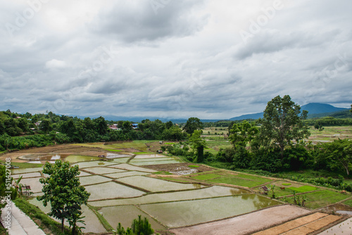 lanscape, fields and sky, farmers prepare land for farming