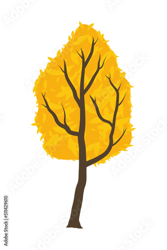 autumn season yellow tree