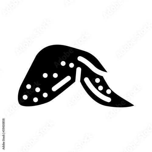 wing with two phalanges glyph icon vector. wing with two phalanges sign. isolated symbol illustration