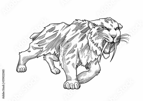 Graphic saber-toothed cat isolated on white background.