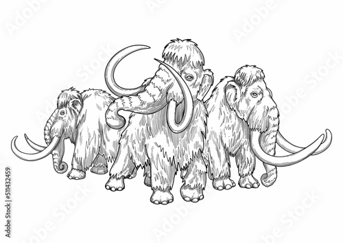 Composition of a three graphic walking mammoths in a front and side views.