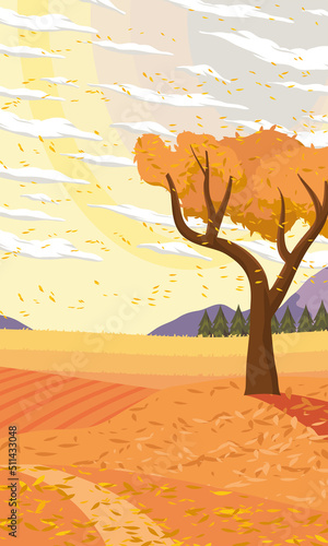 beauty autumn season landscape