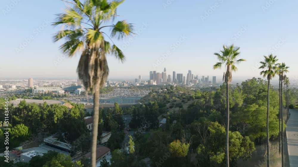Urban aerial view of beautiful and scenic downtown Los Angeles on blue sky sunny day in California, USA travel concept copy space. Aerial green tall palm trees on motion foreground, American dream 4K